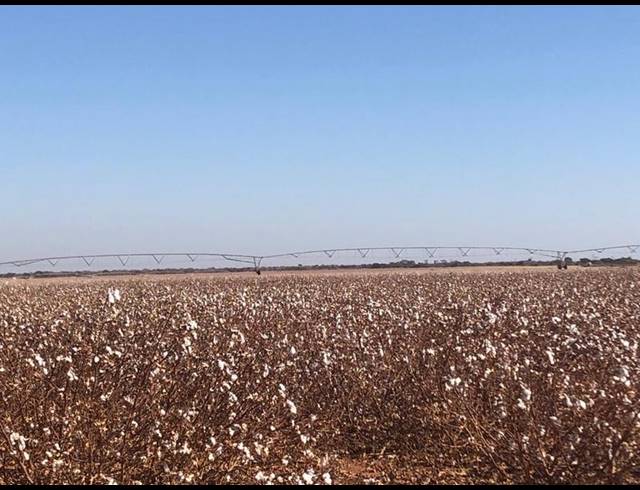 FARM FOR SALE IN THABAZIMBI